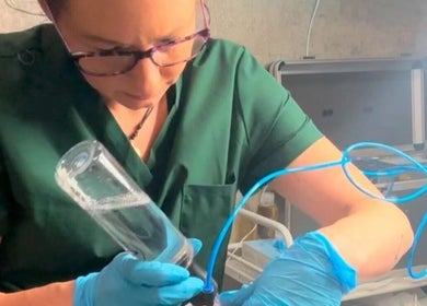 Expert performing treatment at Serendipity Beauty in Douglas, GB using modern equipment.