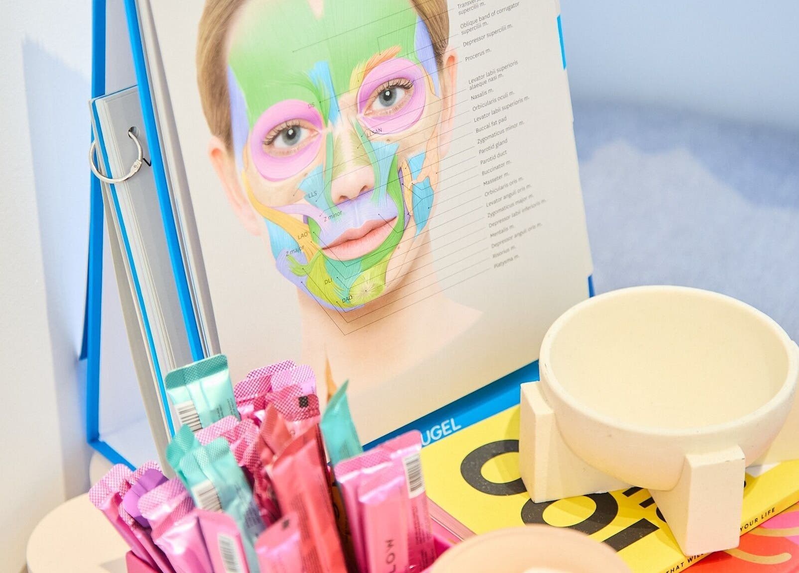 Facial anatomy illustration at Cosmetics By Nurse Blake, Bondi Junction, New South Wales, AU. Skin care essentials displayed.