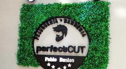 Perfectcut image 2