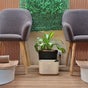 Cosmecca Beauty and Spa - 3 Sir Seewoosagur Ramgoolam Street, S1, Jet Court bldg, Port Louis, Port Louis District