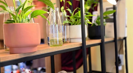 Plantas decorativas na prateleira no Tom Maia Hair Studio, Rio Grande Do Sul, Rio Grande Do Sul, BR.