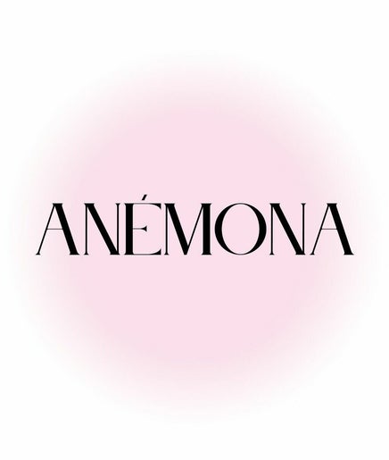 Anémona Estudio image 2