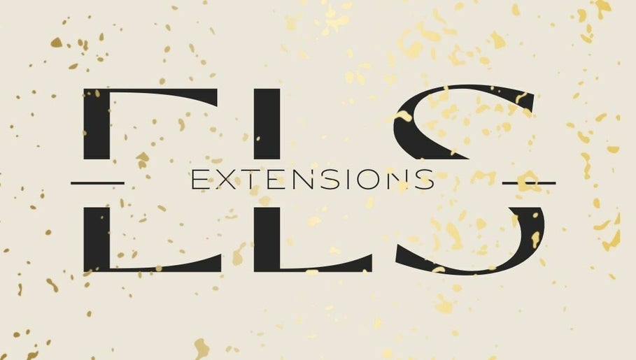 ELS.extensions 1paveikslėlis