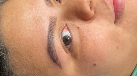 All You Eyebrows image 3