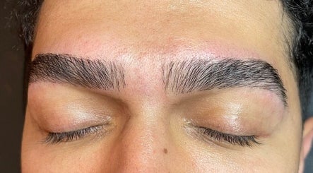 All You Eyebrows image 2