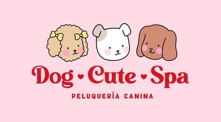 Dog cute Spa