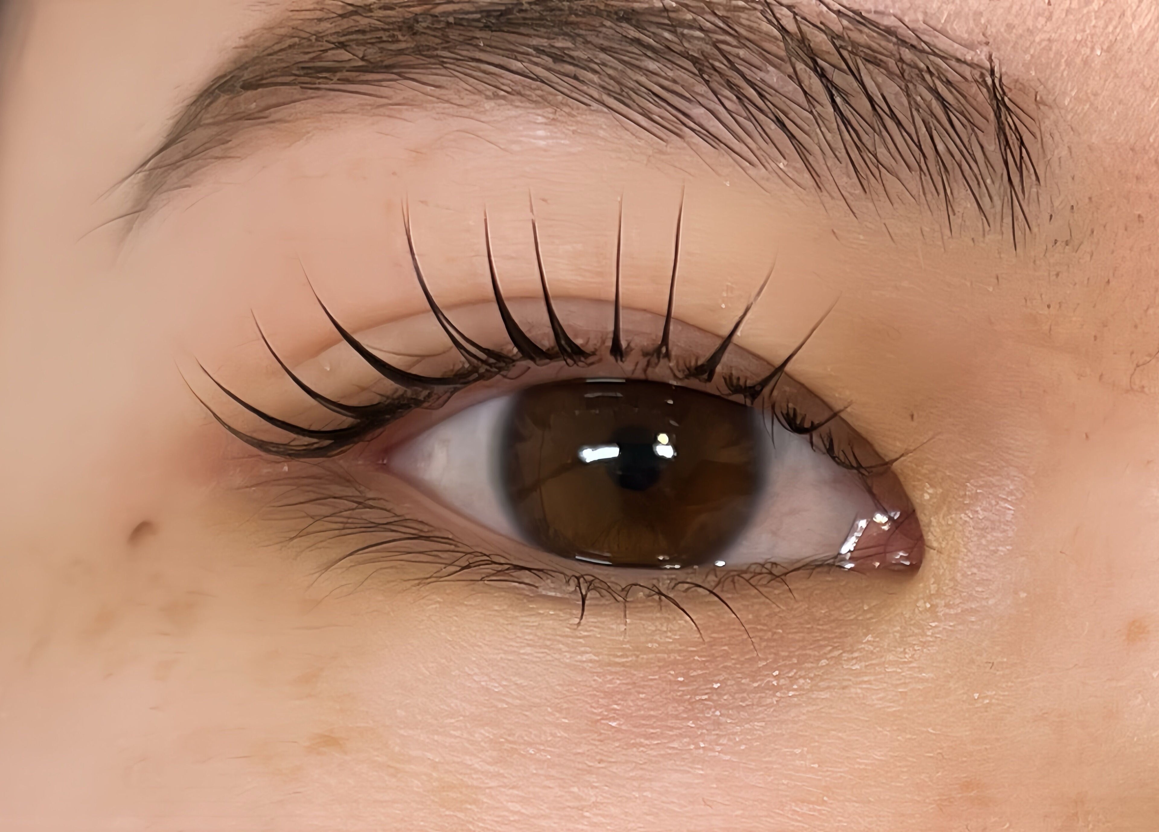 Close-up of styled lashes at Haruka Lashes and Brows Japanese Salon, Subiaco, Western Australia, AU.
