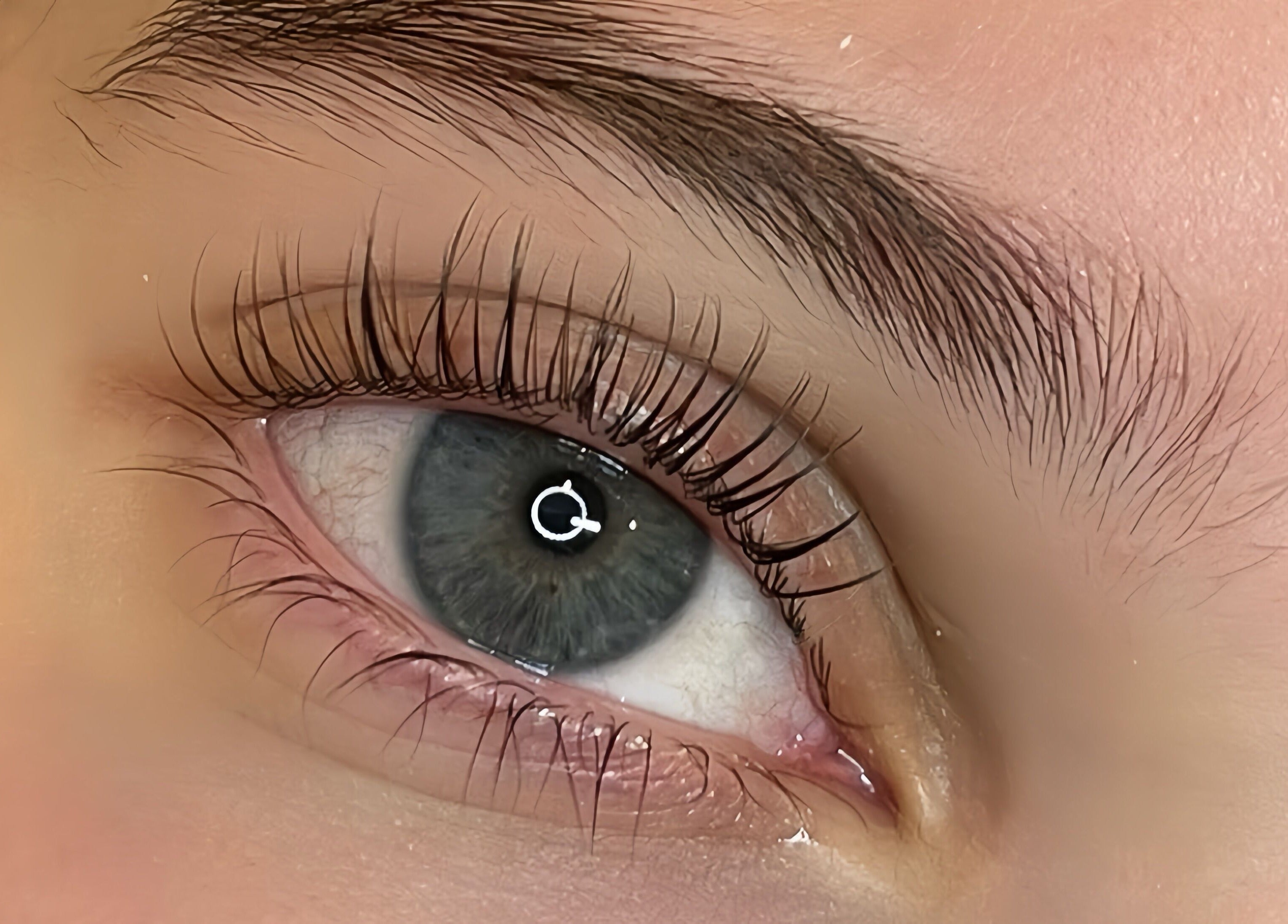 Close-up of styled lashes at Haruka Lashes and Brows Japanese Salon, Subiaco, Western Australia, AU.