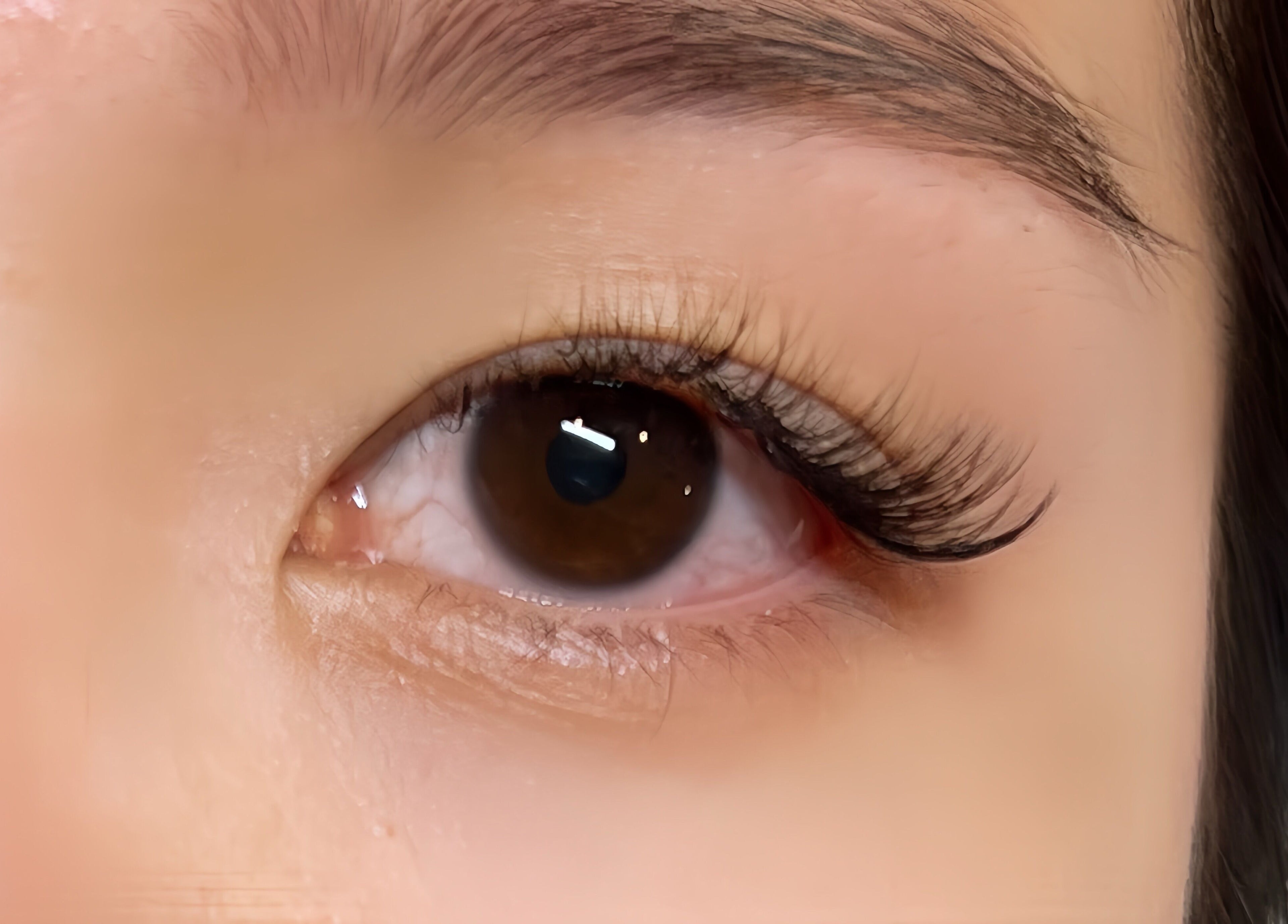 Close-up of styled lashes at Haruka Lashes and Brows Japanese Salon in Subiaco, Western Australia, AU.