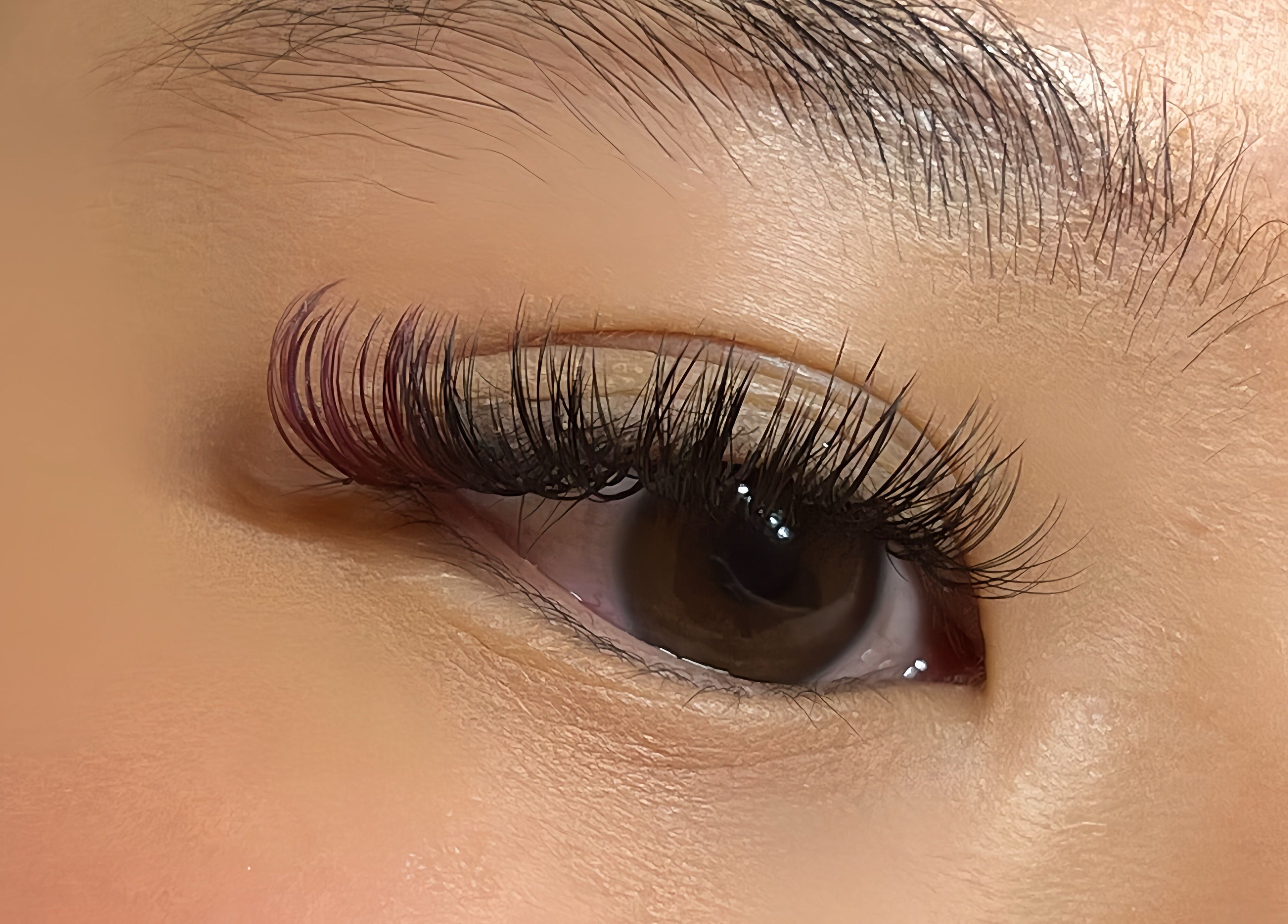 Close-up of styled lashes at Haruka Lashes and Brows Japanese Salon, Subiaco, Western Australia, AU.