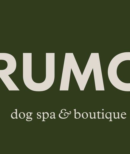 Rumo Dog Spa Düsseldorf Bild 2