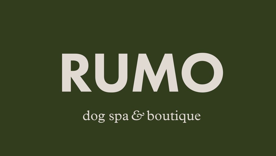 Rumo Dog Spa Düsseldorf Bild 1