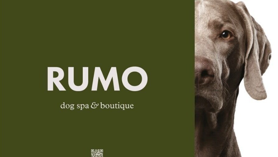 Rumo Dog Spa Düsseldorf slika 1