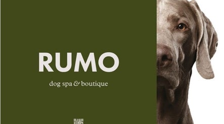 Rumo Dog Spa Düsseldorf