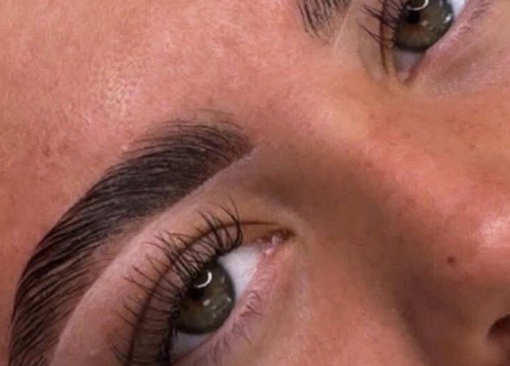 Close-up of beautifully shaped eyebrows at KC Butterflies, Armthorpe, England, GB.