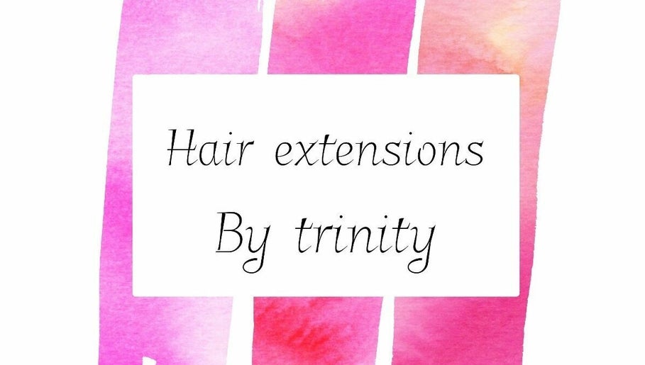 Hair Extensions by Trinity image 1