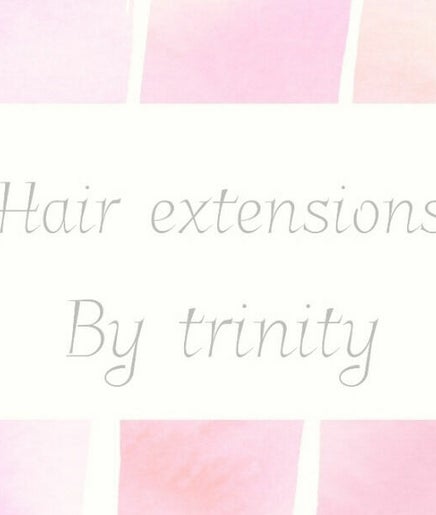 Hair Extensions by Trinity image 2