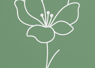 Elegant floral illustration at Jaydes Beauty Boutique in Portland, Victoria, AU, enhancing its tranquil ambiance.