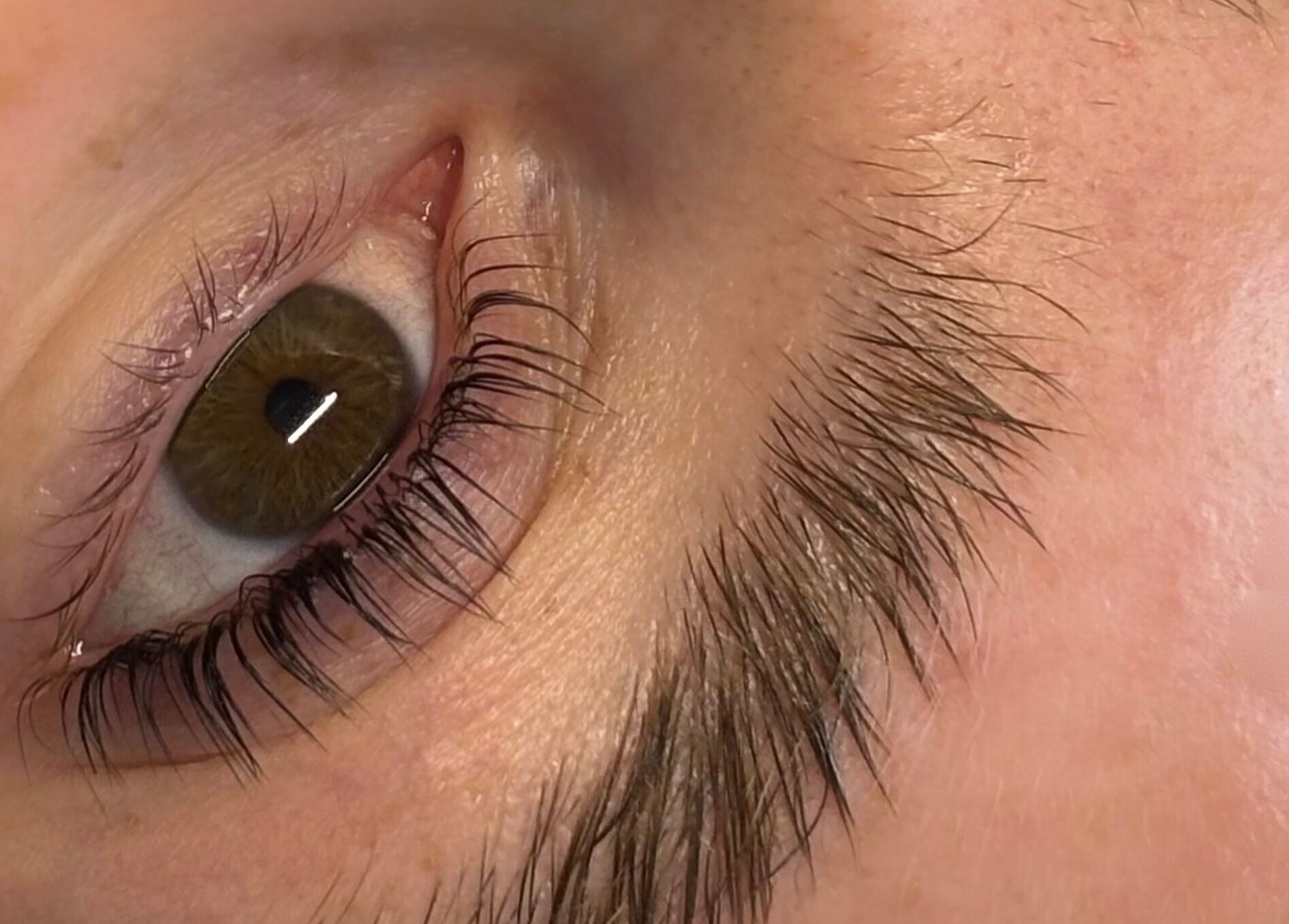 Close-up of expertly styled lashes at Pout & B(r)ow, Southwick, England, GB.