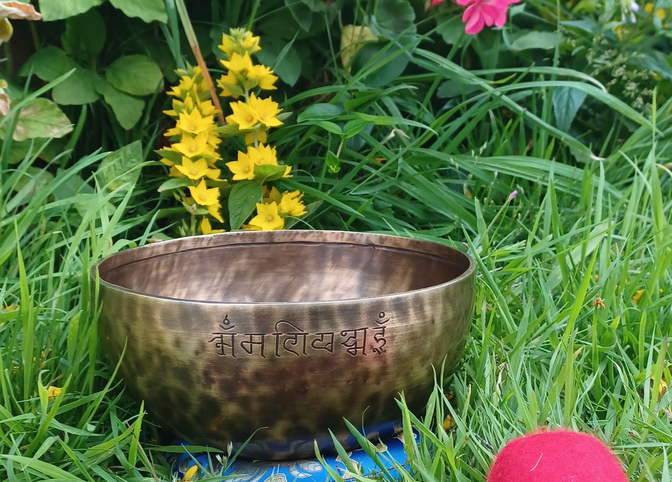 Decorative bowl amidst flowers at Kernow Serenity, Truro, England, GB.