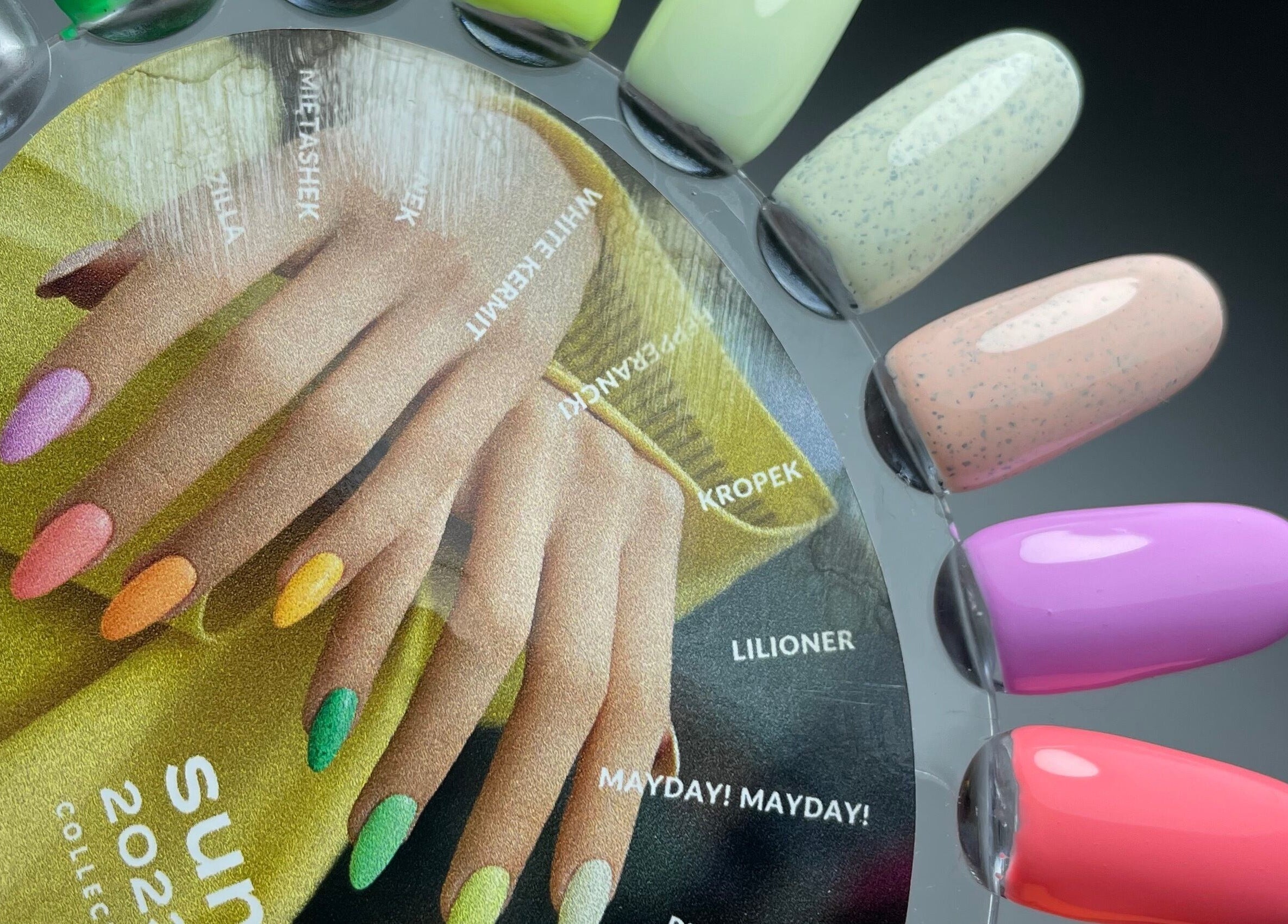 Colorful nail polish display at ŻanaNailsStudio, Edinburgh, Scotland, GB. Offers a variety of vibrant hues.