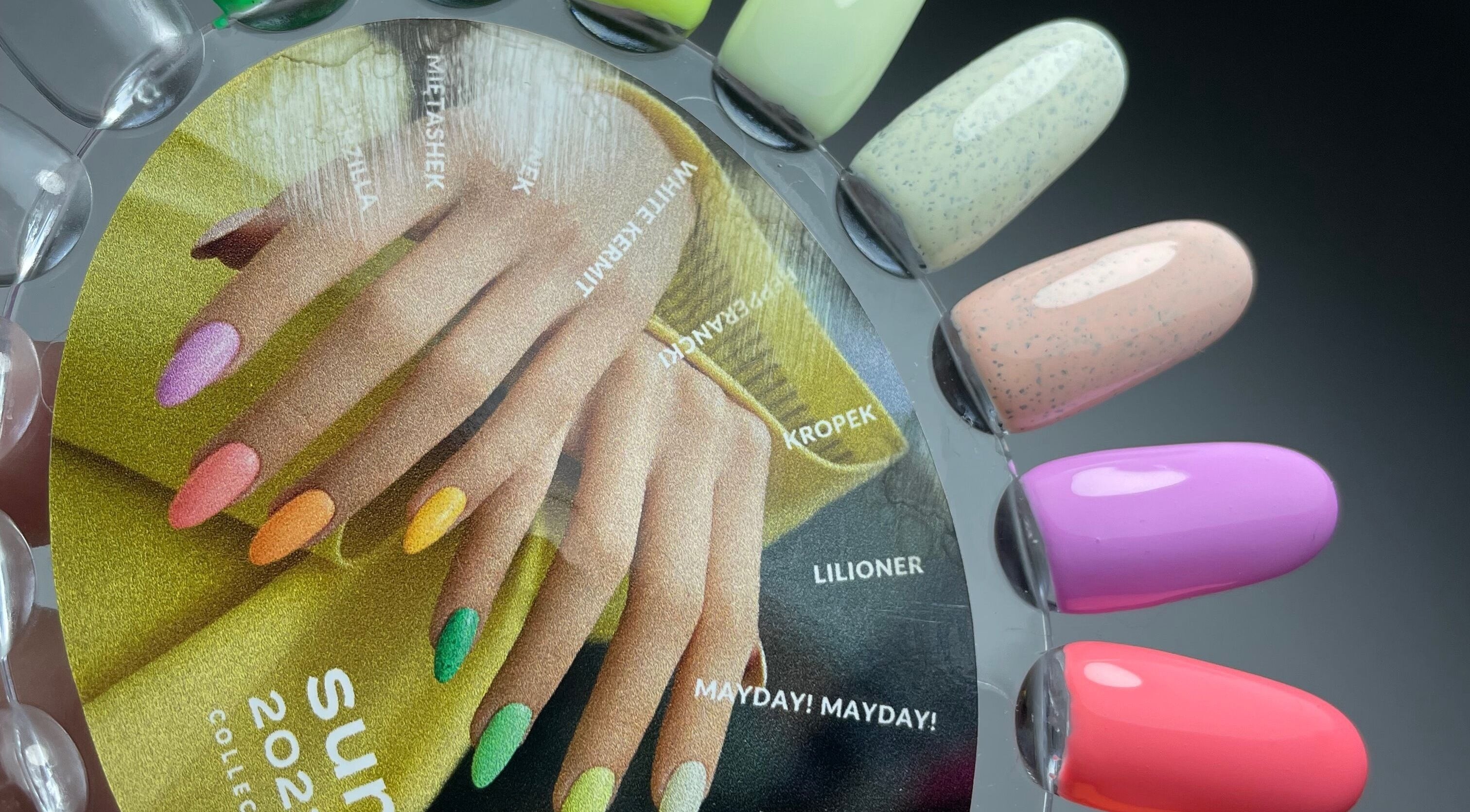 Colorful nail polish display at ŻanaNailsStudio, Edinburgh, Scotland, GB. Offers a variety of vibrant hues.