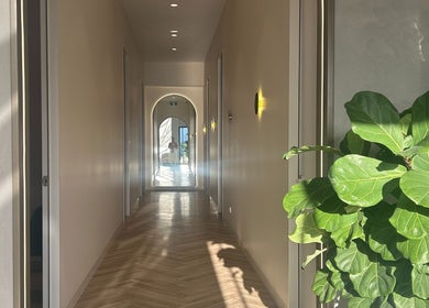 Sunlit corridor at The Skin Element - Aesthetic Clinic in Southport, Queensland, AU with a leafy green plant.