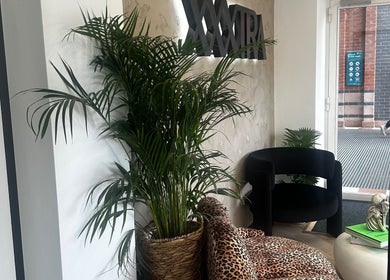Stylish lounge at Made By Mel, Livingston, Scotland, GB with lush plants and modern decor.