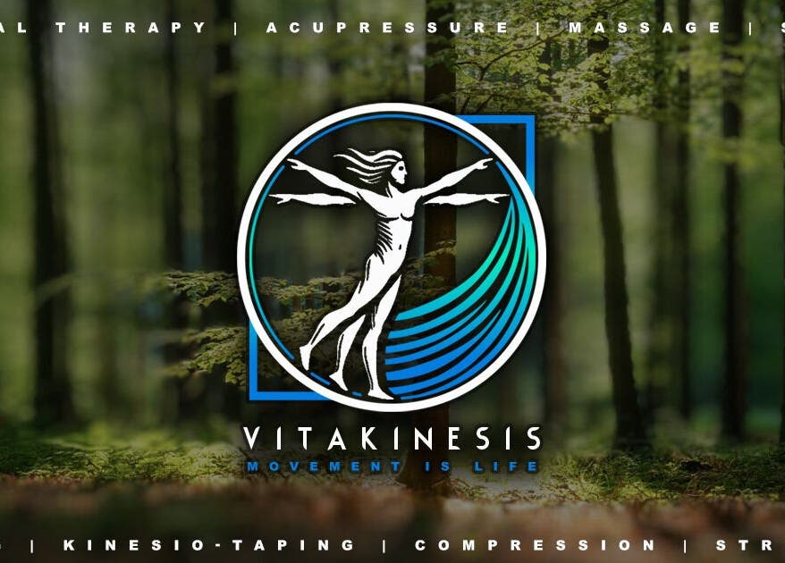 VitaKinesis logo with forest background in Los Angeles, California, US. Movement is life.