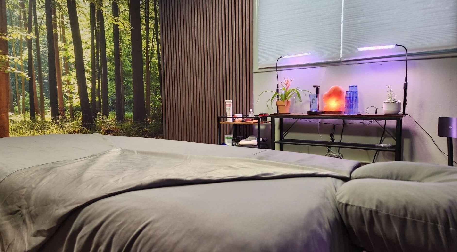 Relaxing treatment room at L.A Sports Recovery - Movement is Life, Los Angeles, California, US with forest mural.