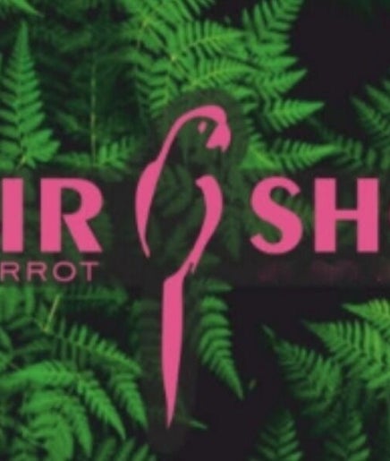 Pink parrot hairshop Bild 2