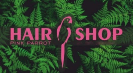 Pink parrot hairshop