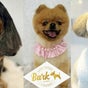 Bark Dog Groomers