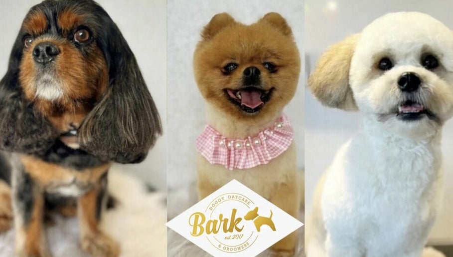 Bark Dog Groomers image 1