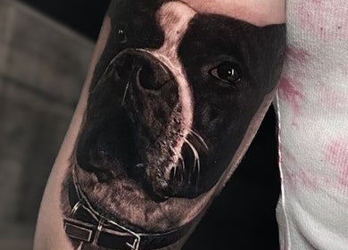 Dettaglio tatuaggio di bulldog da Liberty Ink Tattoo & Piercing, Firenze, Toscana, IT.