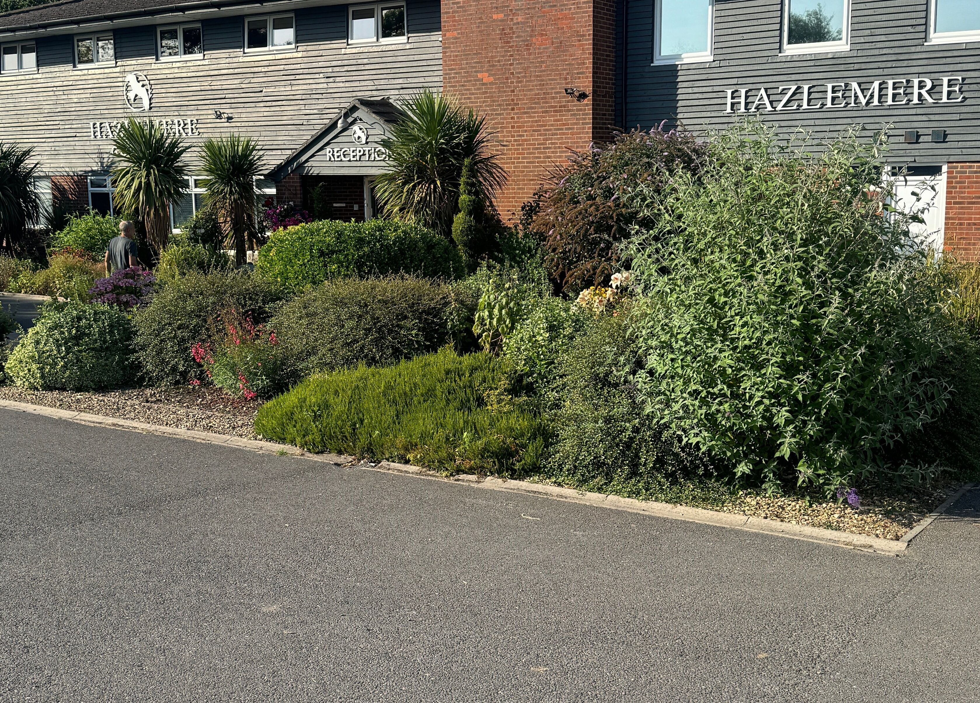 Lush greenery at Hairvibes venue entrance in Hazlemere, England, GB, showcasing a tranquil atmosphere.