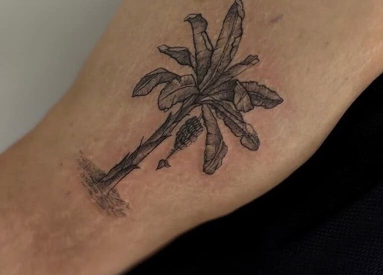 Tatuaje de palmera en Adasat Studio, Canarias, Canarias, ES, muestra detalle artístico.