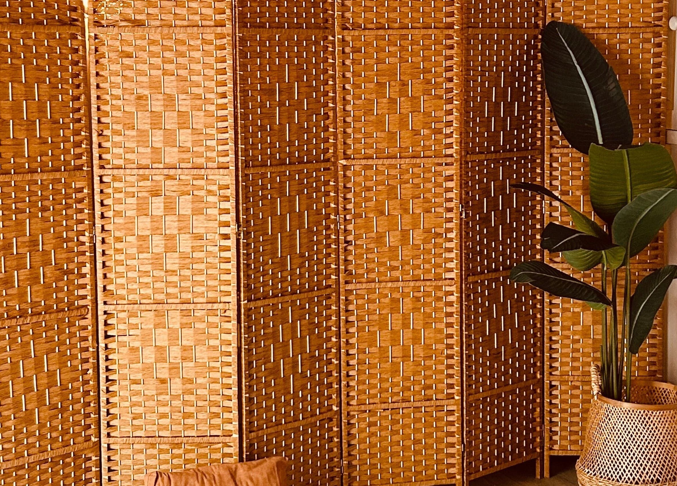 Natural woven screen and green plant create a serene atmosphere at Sanctum, Lincoln, England, GB.