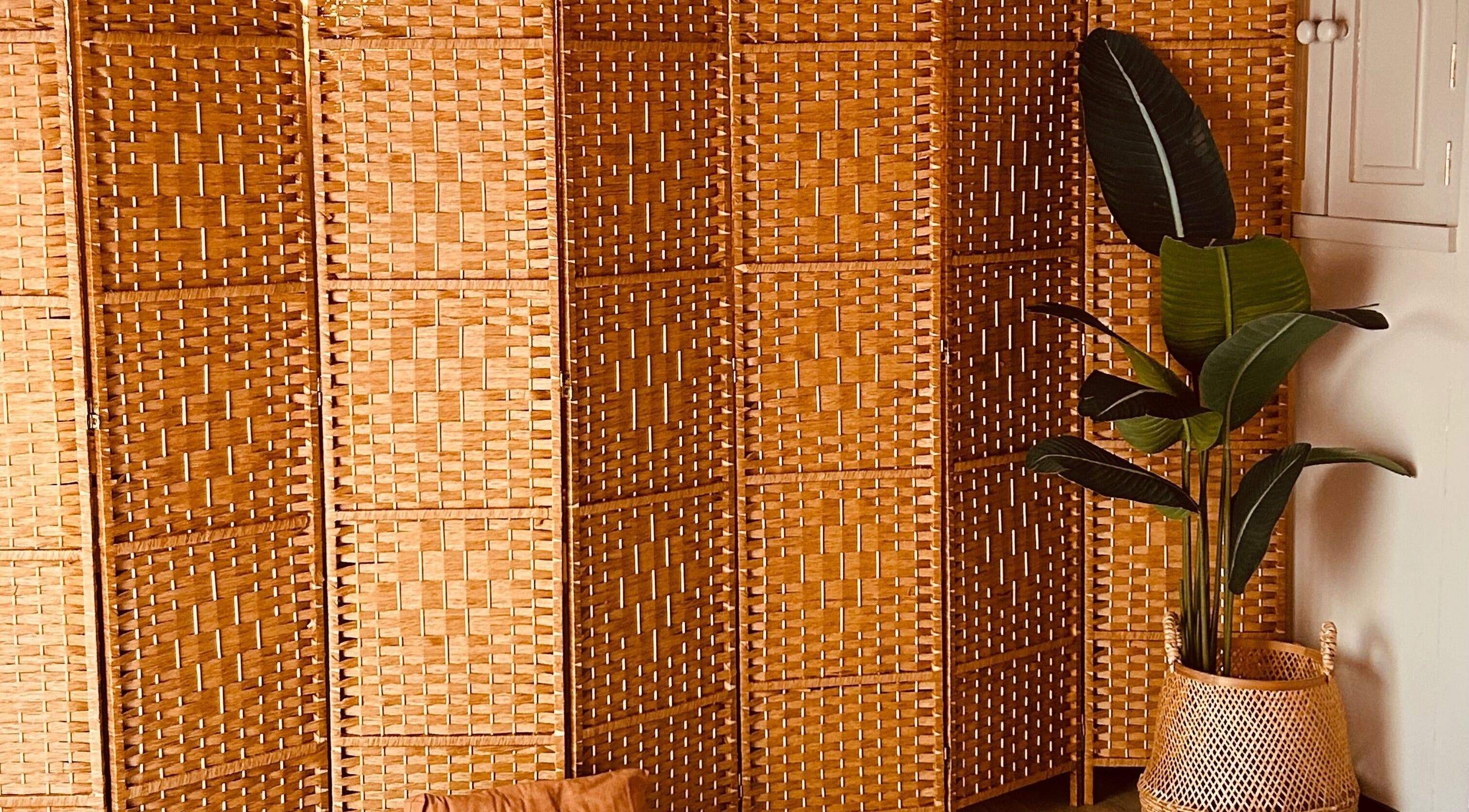 Natural woven screen and green plant create a serene atmosphere at Sanctum, Lincoln, England, GB.