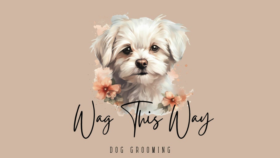 Wag This Way Dog Grooming image 1