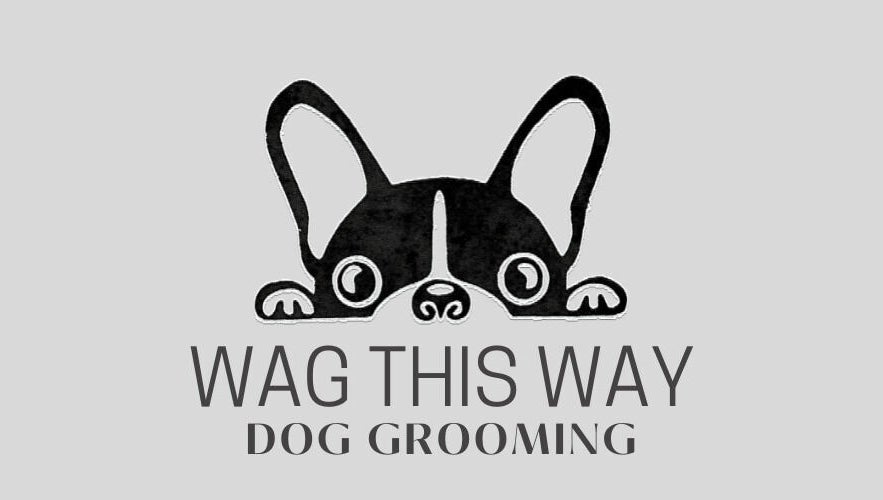 Wag This Way Dog Grooming image 1