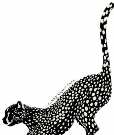 Leaping leopard studios image 2