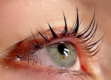 Close-up of elegant eyelashes at The Makeup Monk, Costa Mesa, California, US.