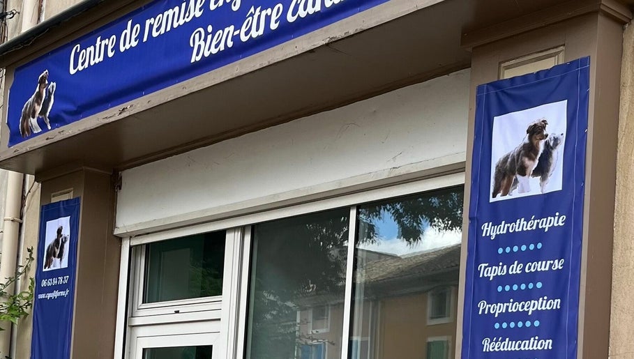 Centre de bien-être et toilettage holistique canin et félin, bilde 1