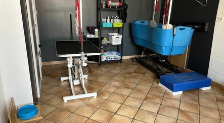 Centre de bien-être et toilettage holistique canin et félin, bilde 3