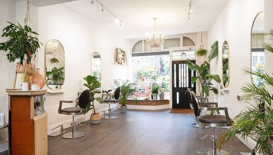 Elegant salon interior at Verve in Matlock, England, GB with lush plants and mirrors.