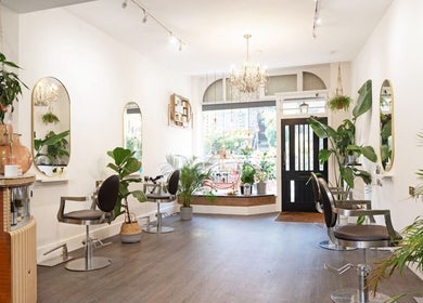 Elegant salon interior at Verve in Matlock, England, GB with lush plants and mirrors.