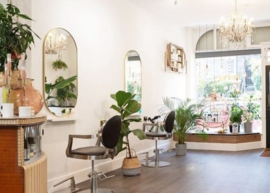 Verve's stylish salon interior with lush plants and elegant mirrors in Matlock, England, GB.