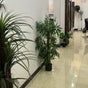 Dame Salon & Spa