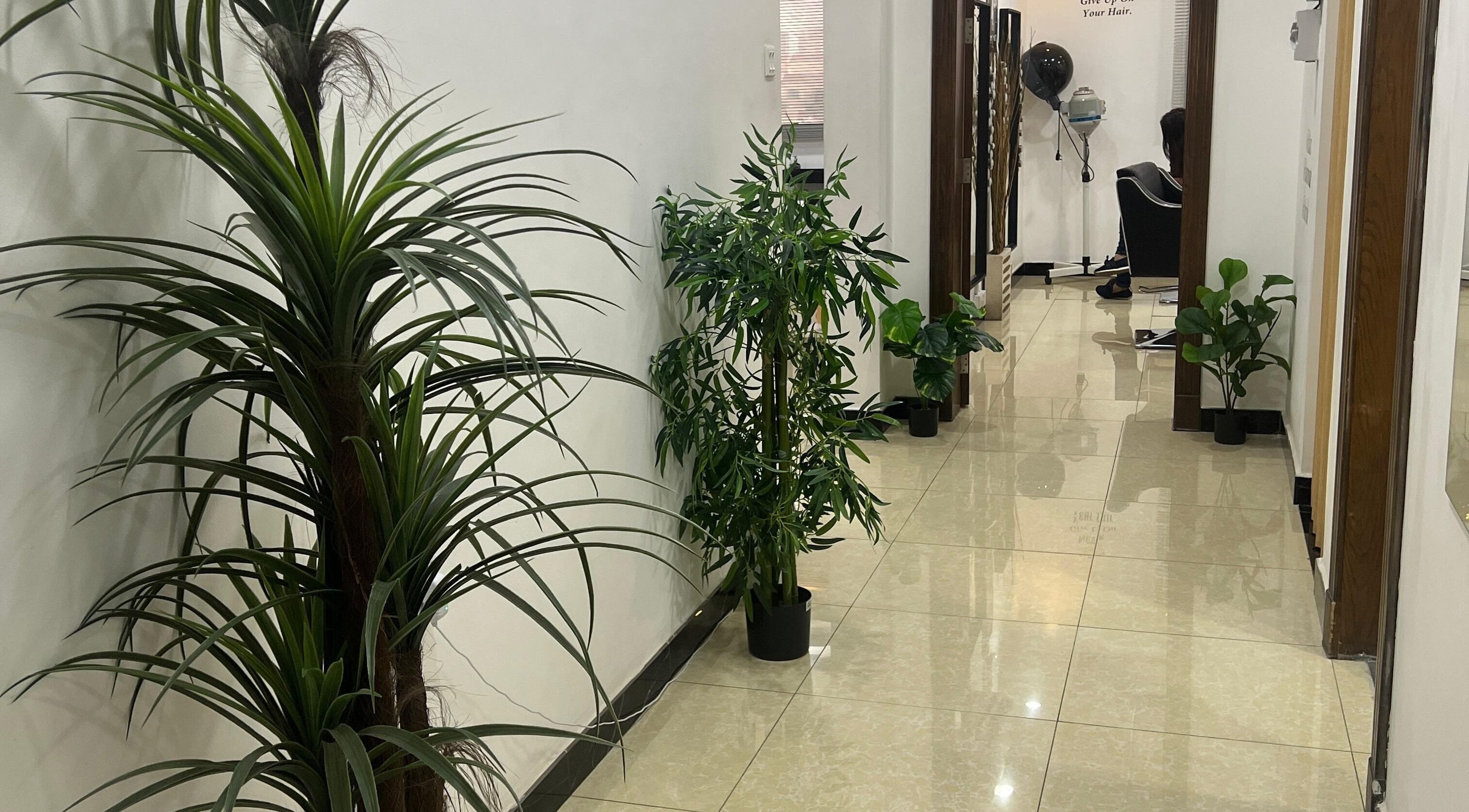 Tranquil hallway at Dame Salon & Spa, Muharraq Governorate, BH, adorned with lush green plants.